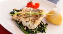 Bacalao 