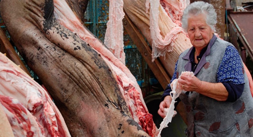 Invierno gastronómico: cazuela, cocido y matanza
